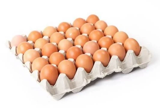 Telur