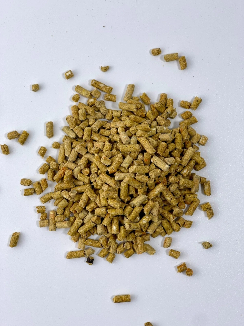 Makanan Haiwan